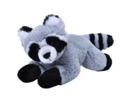 Wild Republic 24808 Ecokins Mini Waschbär Racoon Ca 20cm Plüsch
