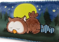 Nici 47879 Kissen Eule Oscar Schlafend Glow In The Dark 43x25cm Plüsch Owlsons -Nici Günstiges Plüsch Geschäft 47879 04 ZA Frei 2048x1451