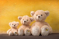 Schaffer 5660 Plüsch Teddy Honey Ca 18cm -Nici Günstiges Plüsch Geschäft 5660honey1